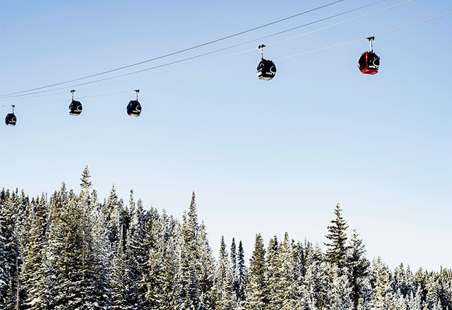 The silver queen gondola over the trees at Aspen Snowmass