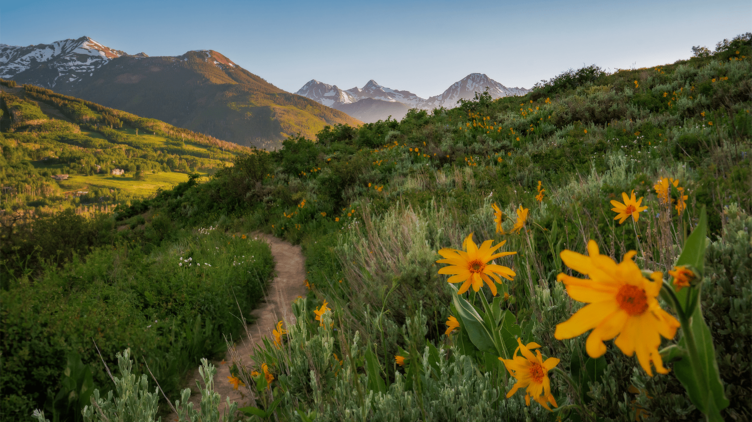 Hiking trail at dusk, with Snowmass Mountain and orange flowers illuminated by the setting sun