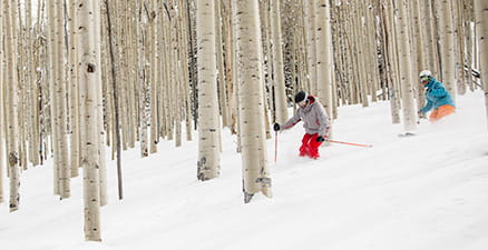Ski School Private Lesson lessons