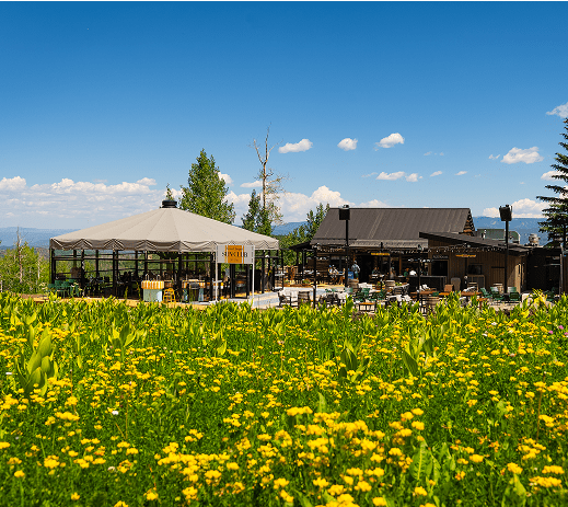 The Cabin in Summer with flowers all around