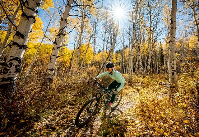 Woman riding a mountain bike through the aspens