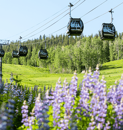 Snowmass, Gondola, Travel Agent, Aspen Snowmass