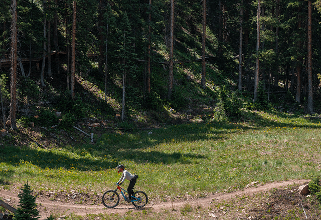 downhill biker on trail at snowmass