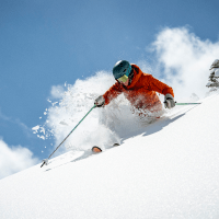 songle skier in powder in aspen