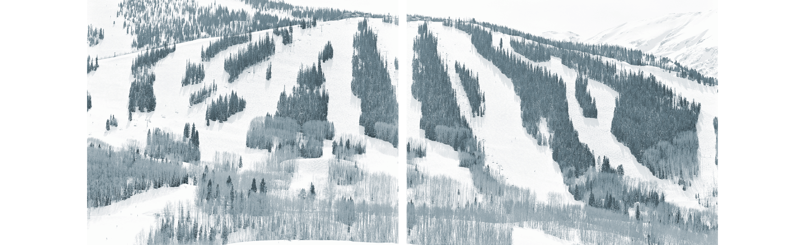 a ski slope with trees and snow