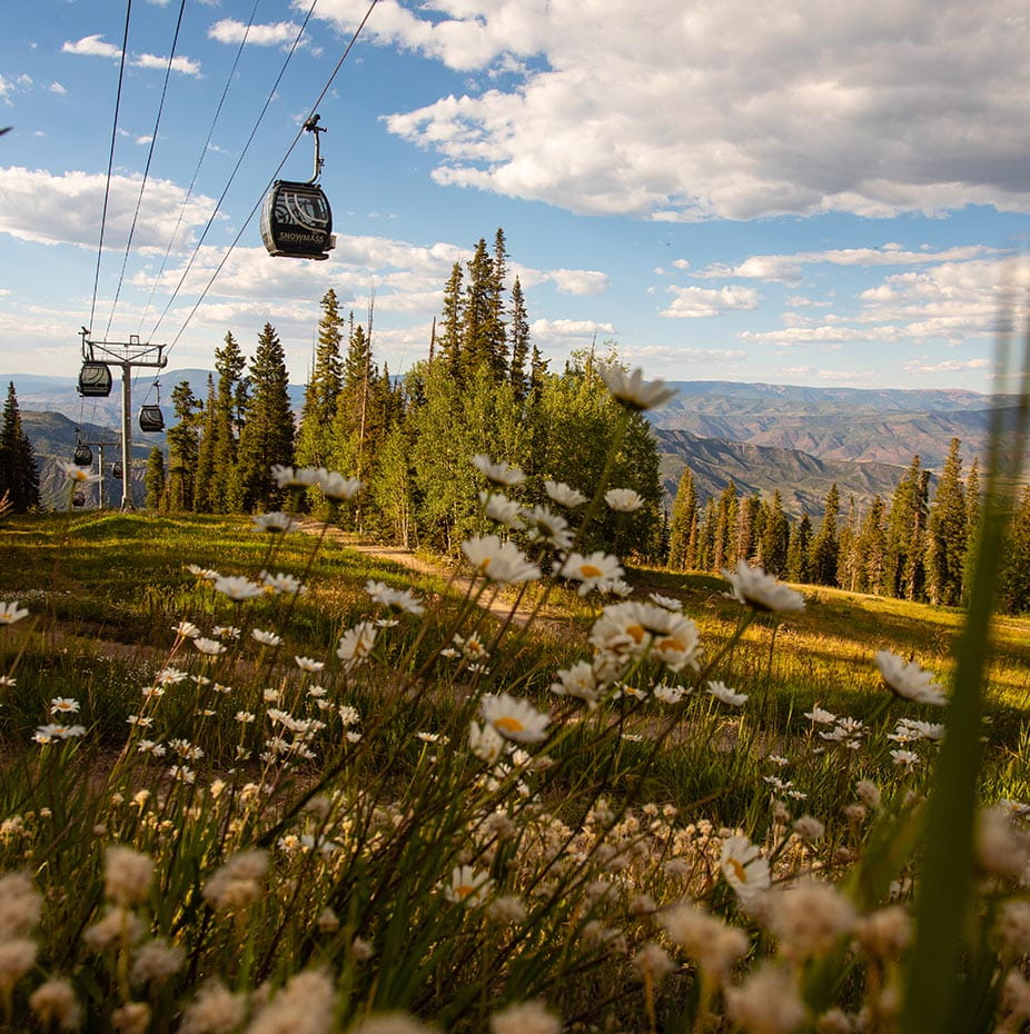 Your Pre Arrival Guide to Aspen Snowmass in Summer