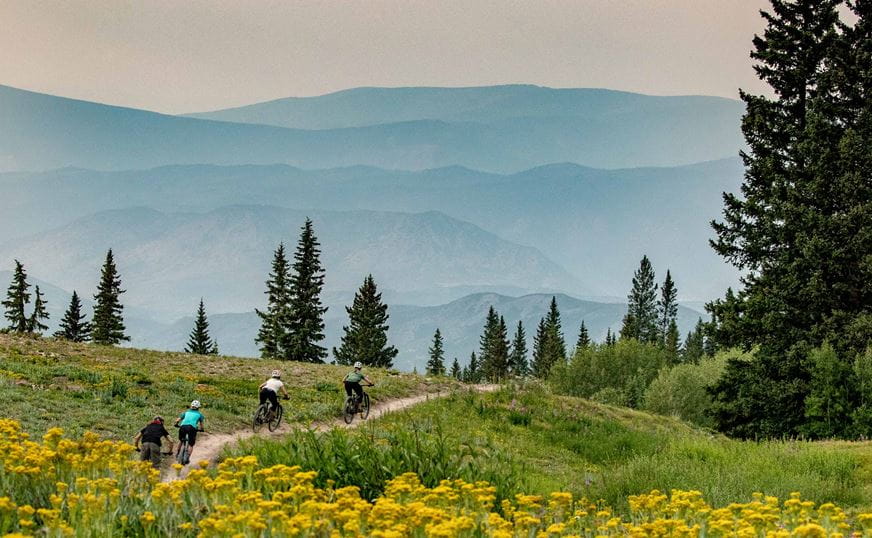 Bikers on a trail with wildflowers in the summer