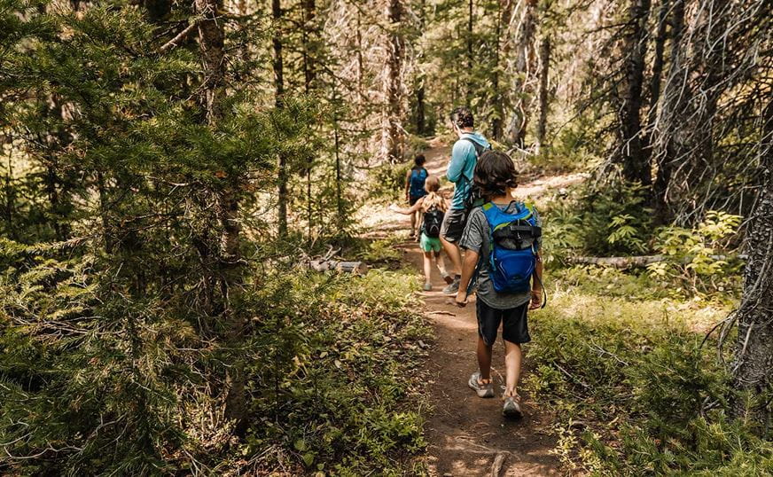 Elevated Journey Hiking trails