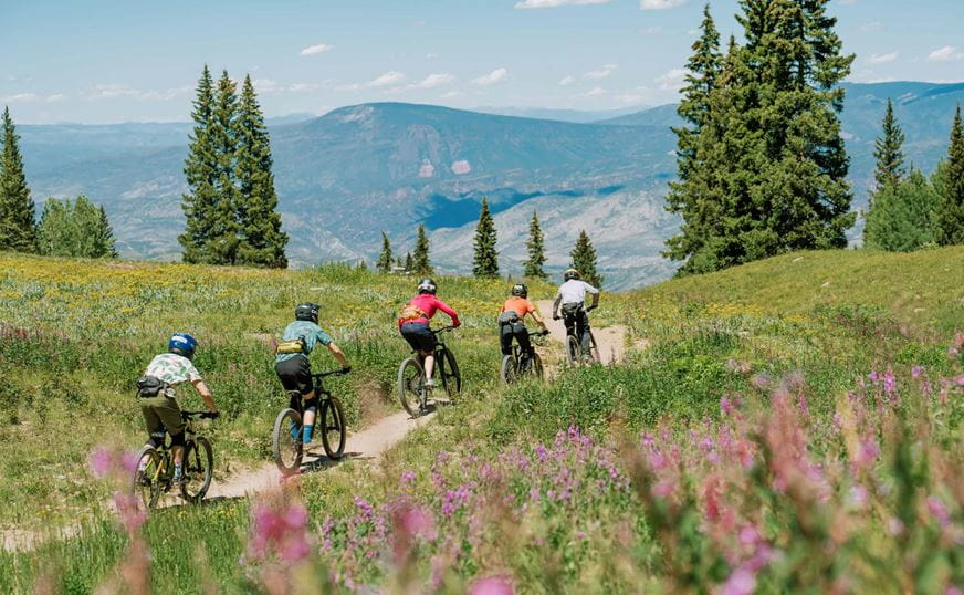 Bikers on a trail with wildflowers in the summer