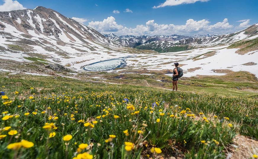 Nature Programs at Aspen Snowmass