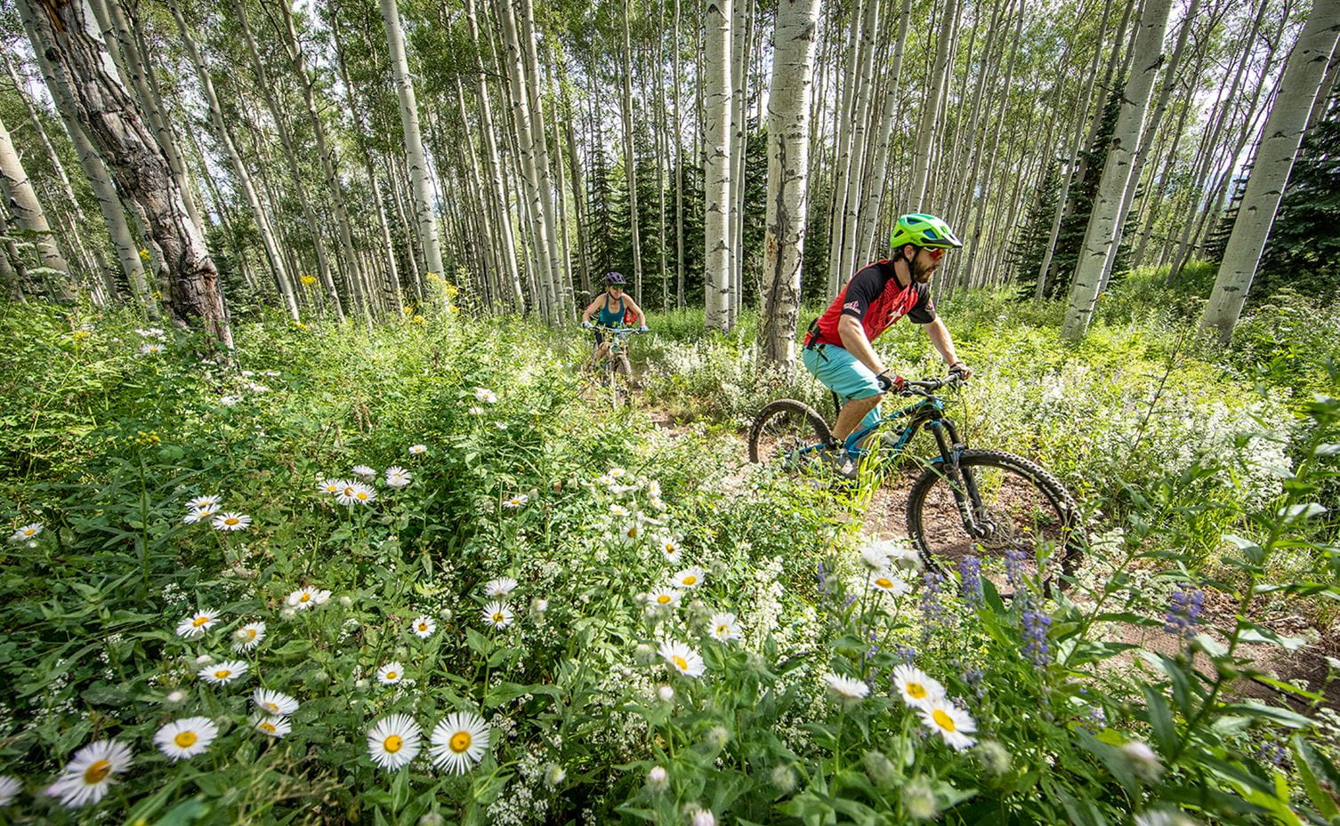 Couple rides through wildflowers and aspens on mountain bikes near Snowmass Colorado