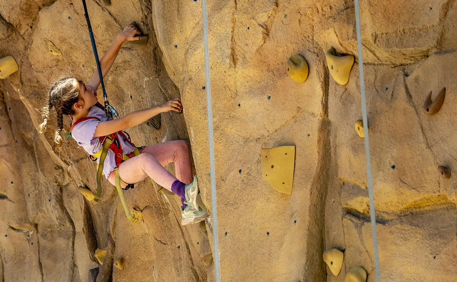 Rugged Ascent Climbing Wall at Lost Forest