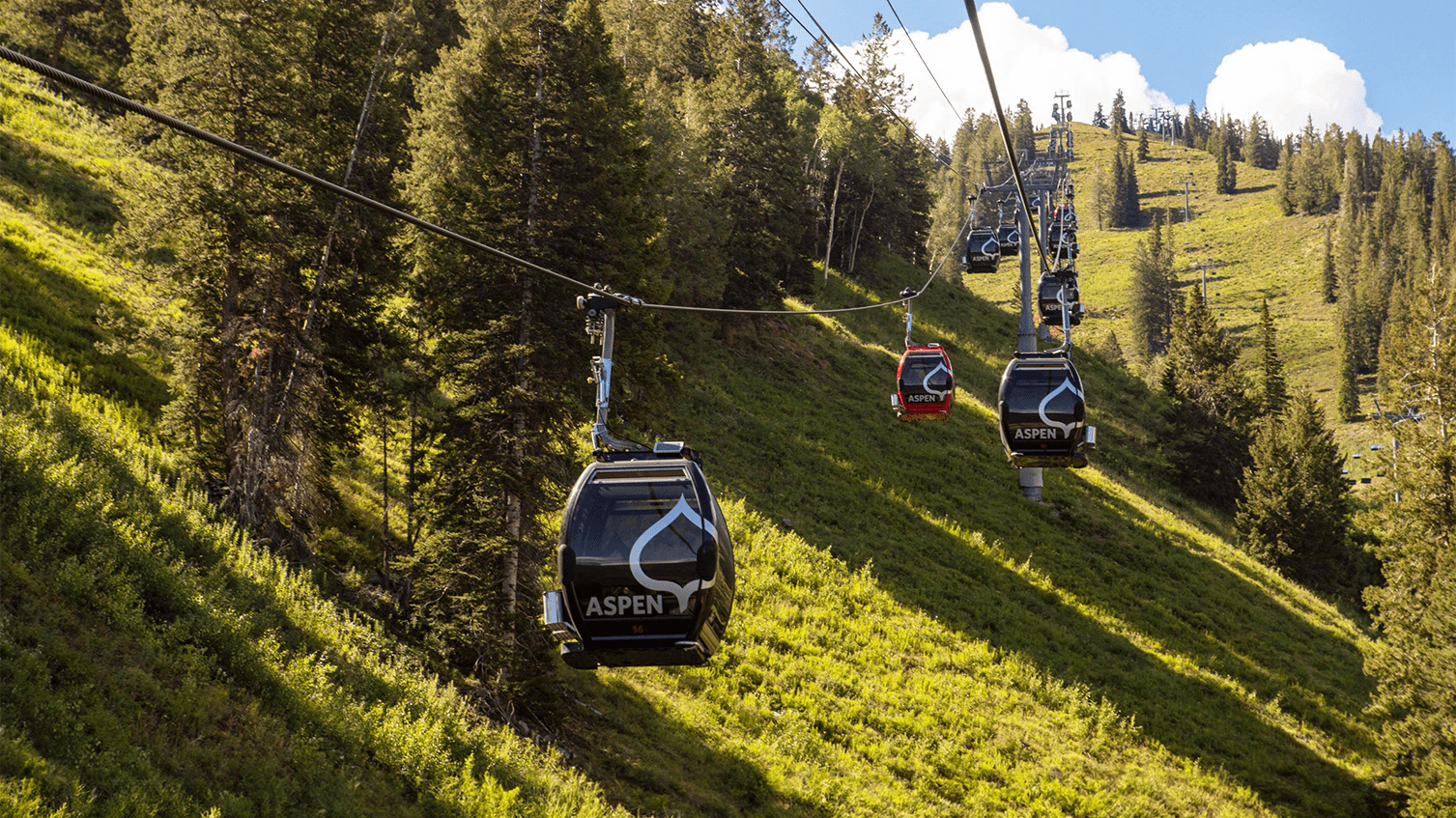 Gondola cars travel uphill, on a sunny summer day at aspen mountain, above green mountain hills, tall pine trees casting shadows in the afternoon sun, with blue skies above