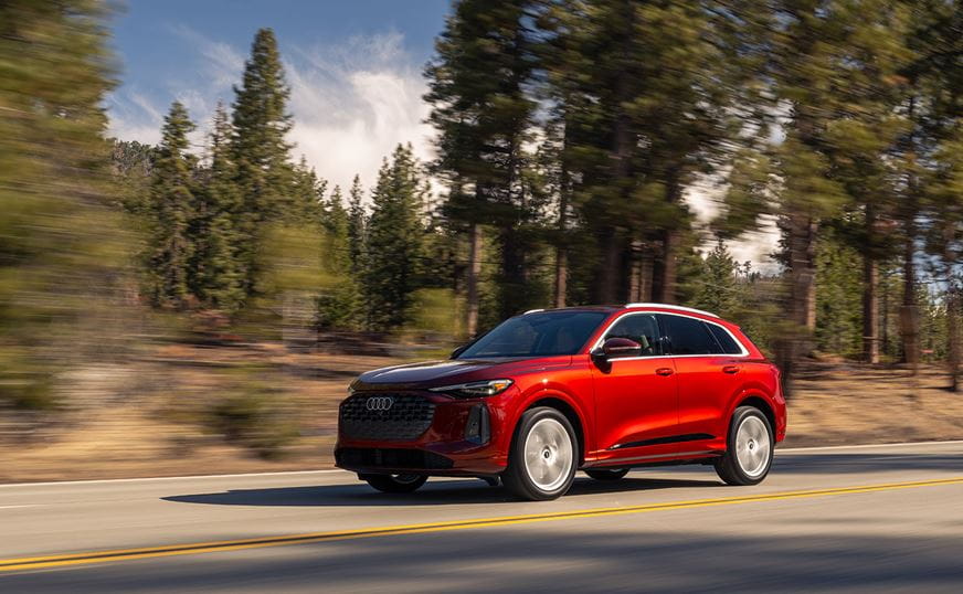 Audi Q5 driving through the forrest. 