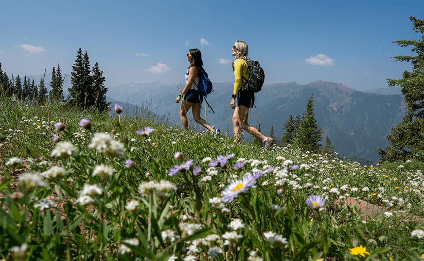 Two women hike in a field of flowers atop Aspen Mountain, in a field of white, yellow and purple wildflowers 