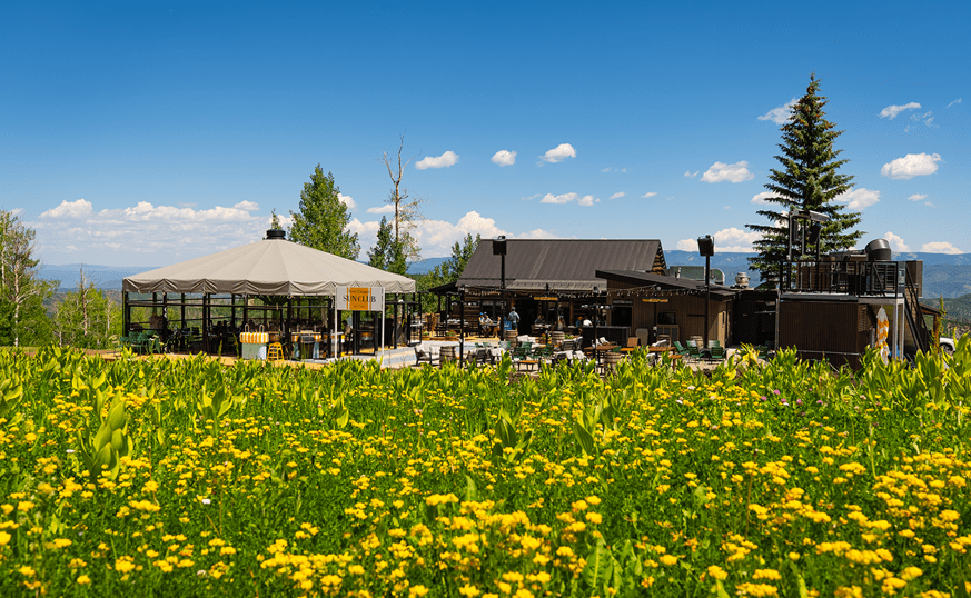 The Cabin in the Summer