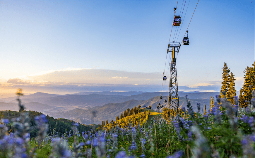 Beautiful summer morning at Aspen mountain, blue and yellow sunrise over green and purple wildflowers 