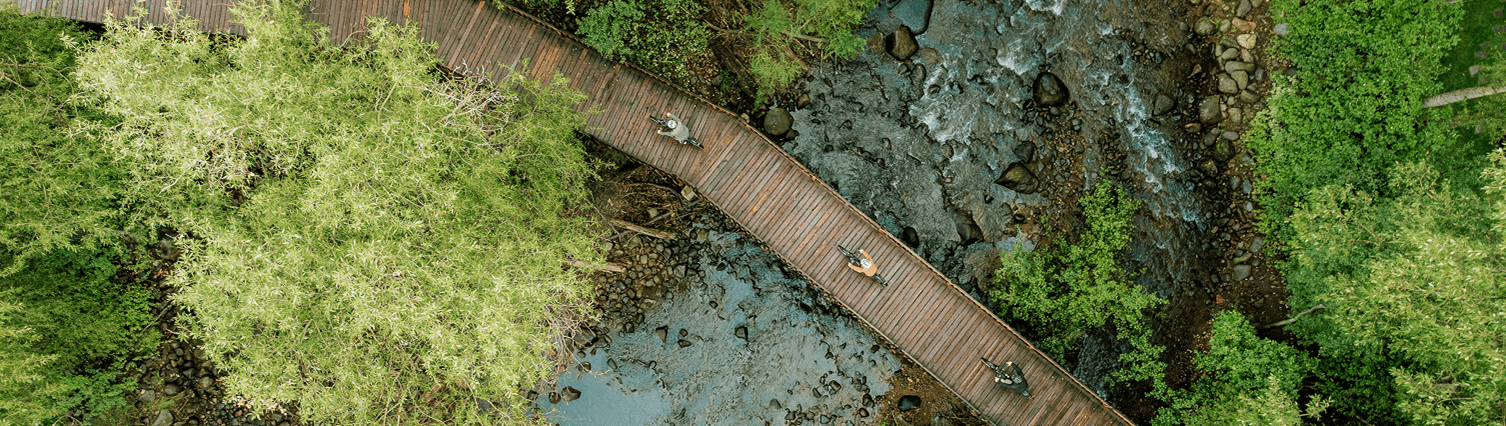 aerial view of bridge over water with green trees and people on ebikes