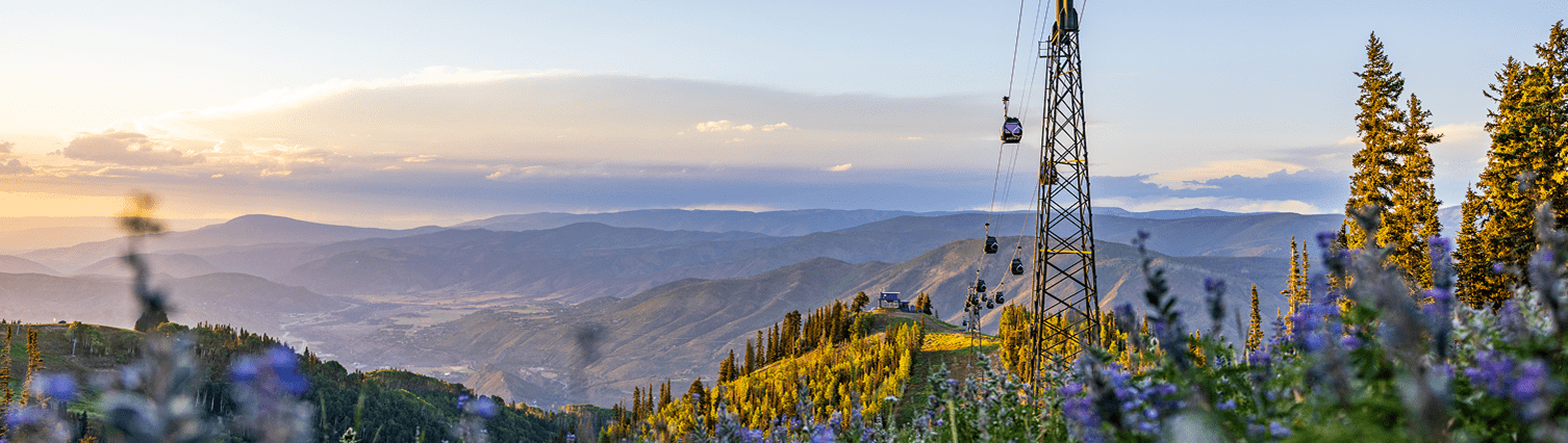 Picturesque scene of Aspen Mountain, from the gondola, green hills covered in wildflowers and the aspen valley cast in a golden morning glow