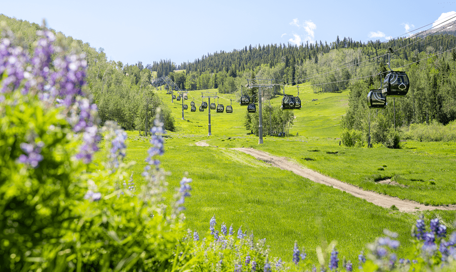 Snowmass gondola in the summer, green hills and purple flowers