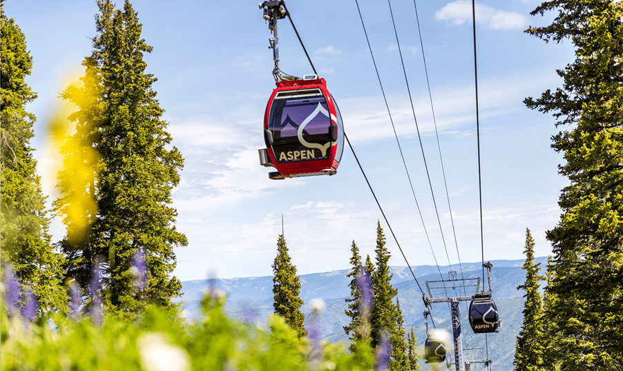 Gondola over a green field with purple flowers on Aspen Mountain