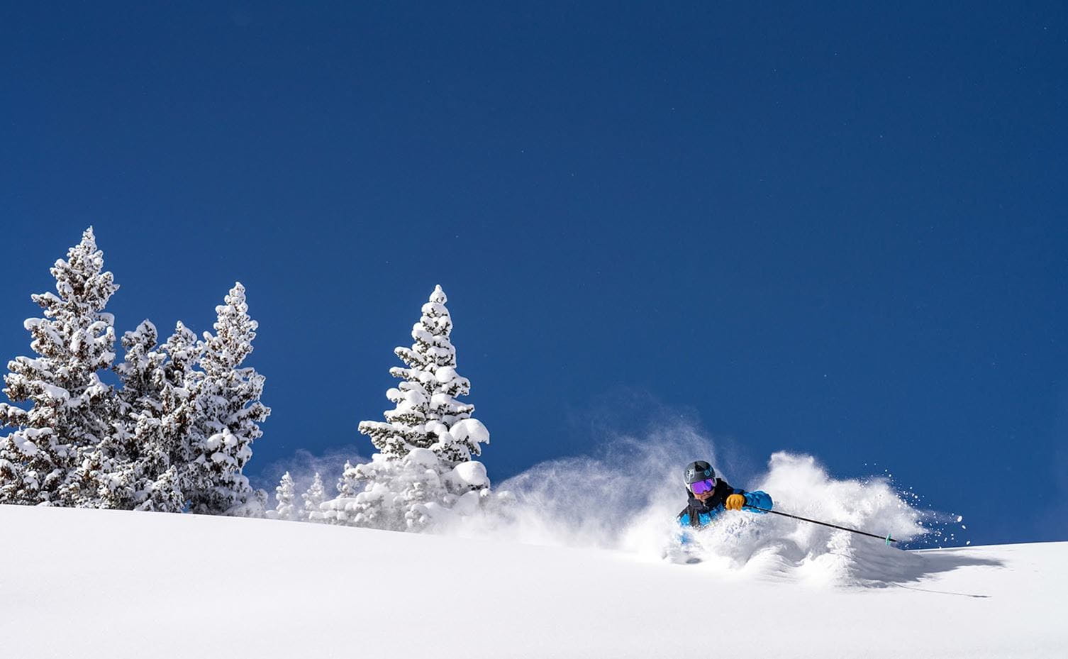 Skier in powder on a bluebird day. 