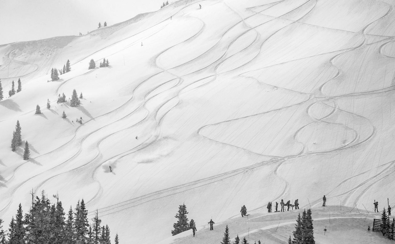 Skiers tracks in black and white across Highland Bowl