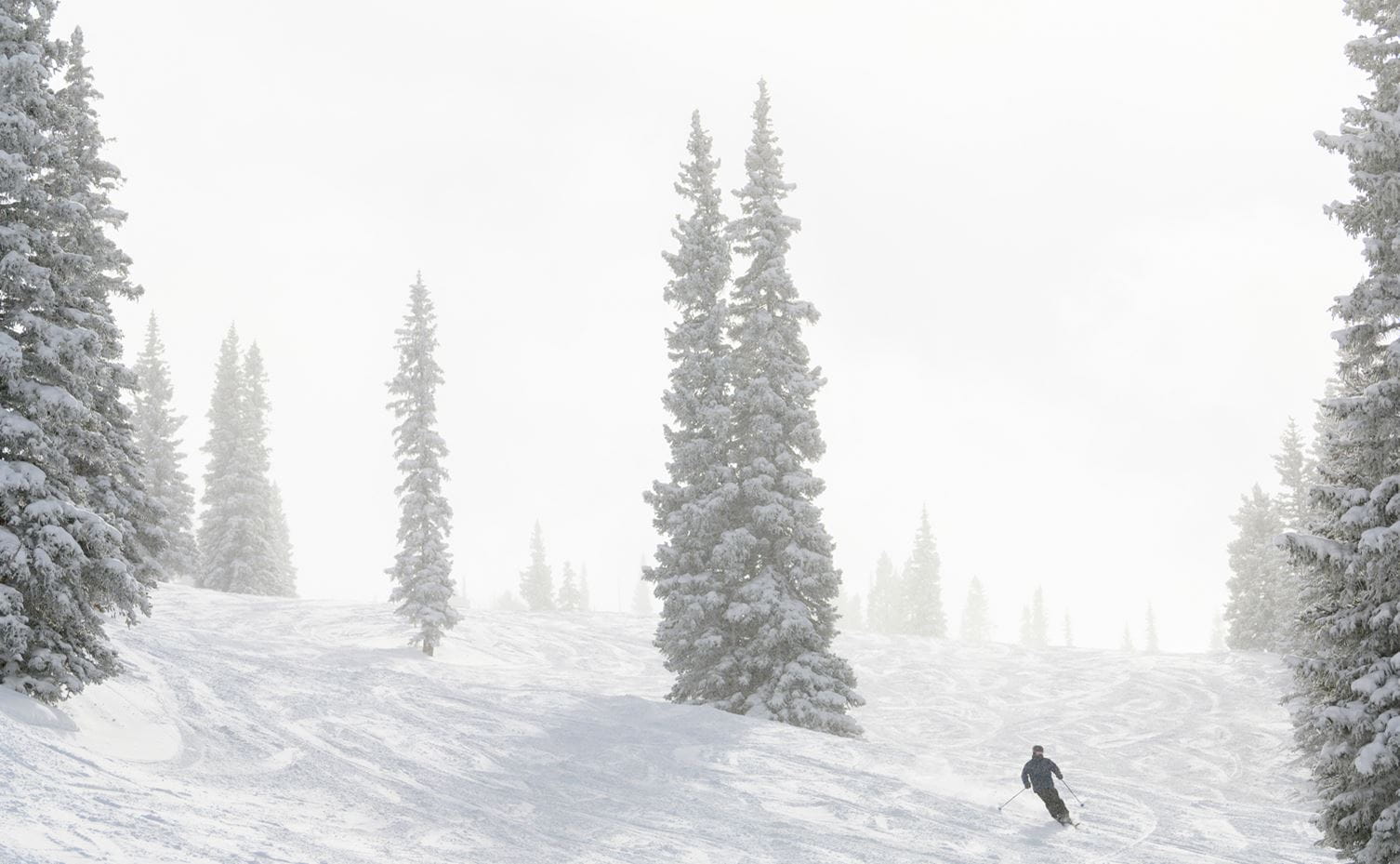 A lone skier enjoys skiing through spaced out trees at Snowmass