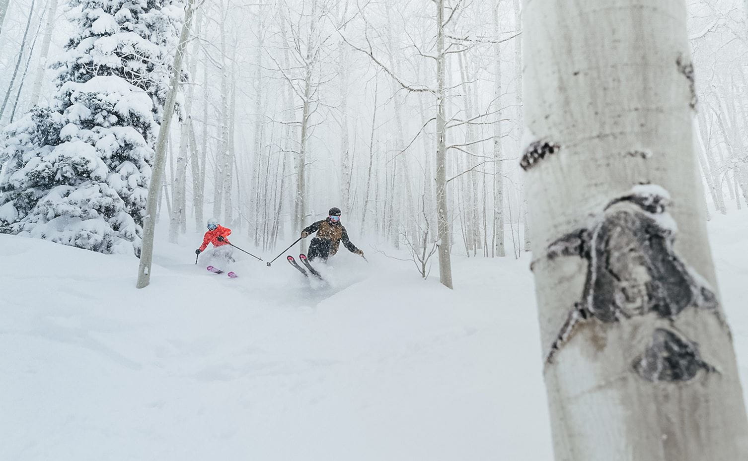 Skiers navigate a snowy run through the trees at Aspen Mountain