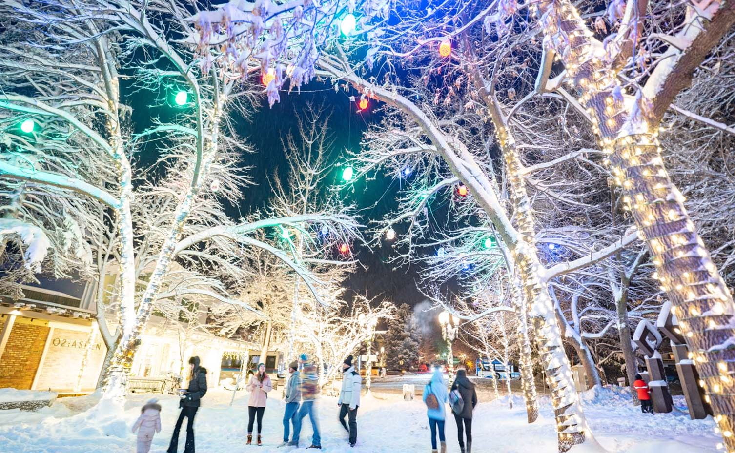 a group of people walking in a snowy area with trees and lights