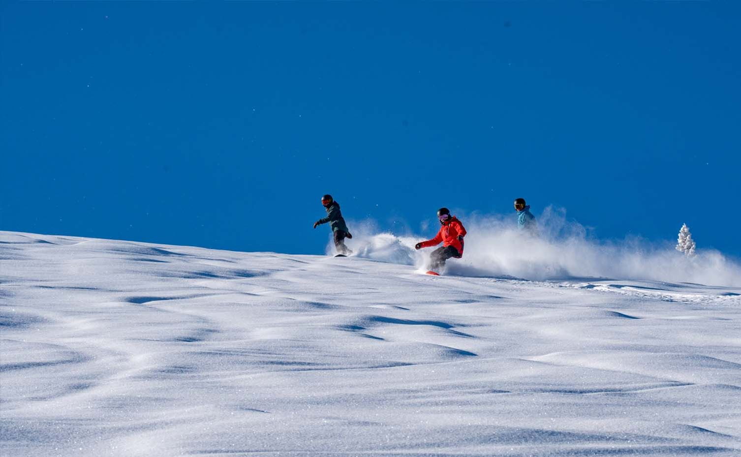 a group of people skiing down a snowy hill