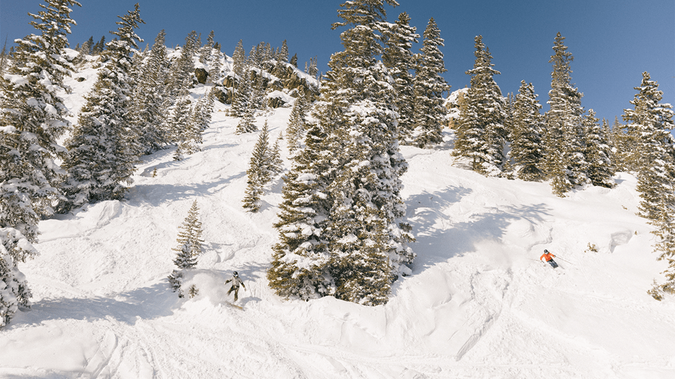 Skiers shred down fresh powder, on the side of the hill at Snowmass