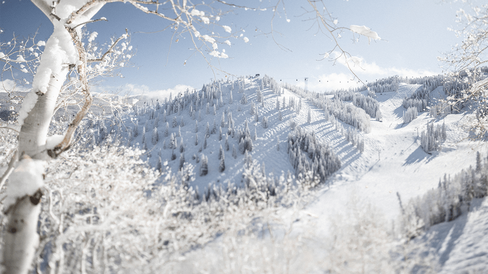sparkly day at Aspen Snowmass, fresh snow covers the trees and Aspen Mountain, gondola in background