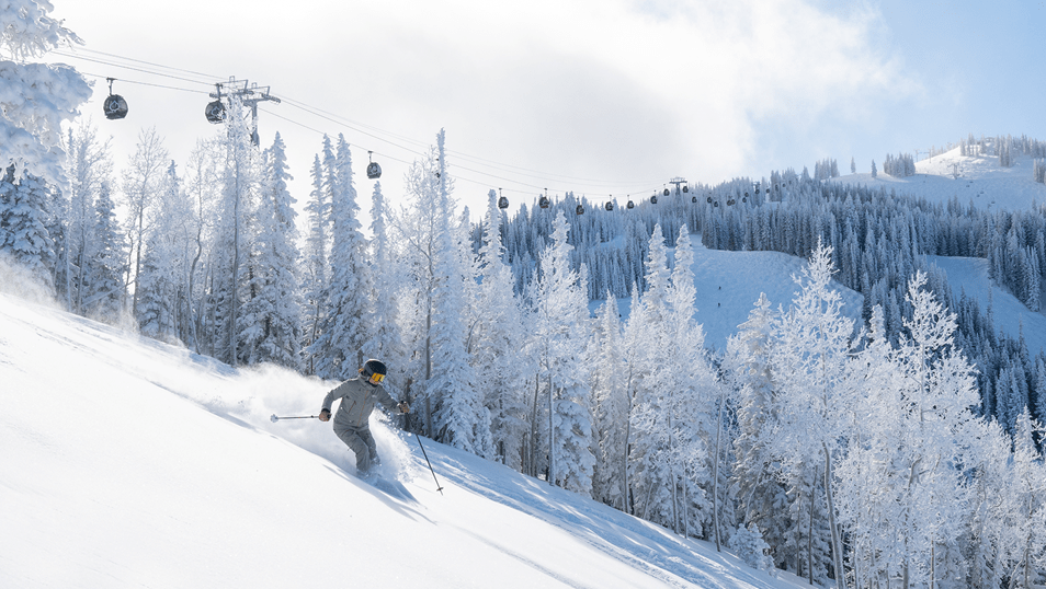 Skier in powder on a cold bluebird day at aspen Snowmass, trees are covered in sparkly snow