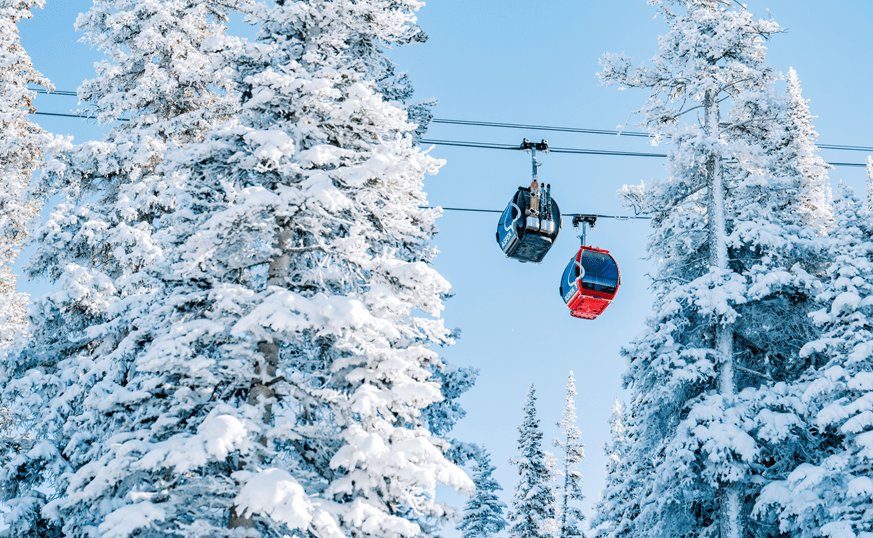 Two aspen gondolas, one red and one black, framed between snow covered trees
