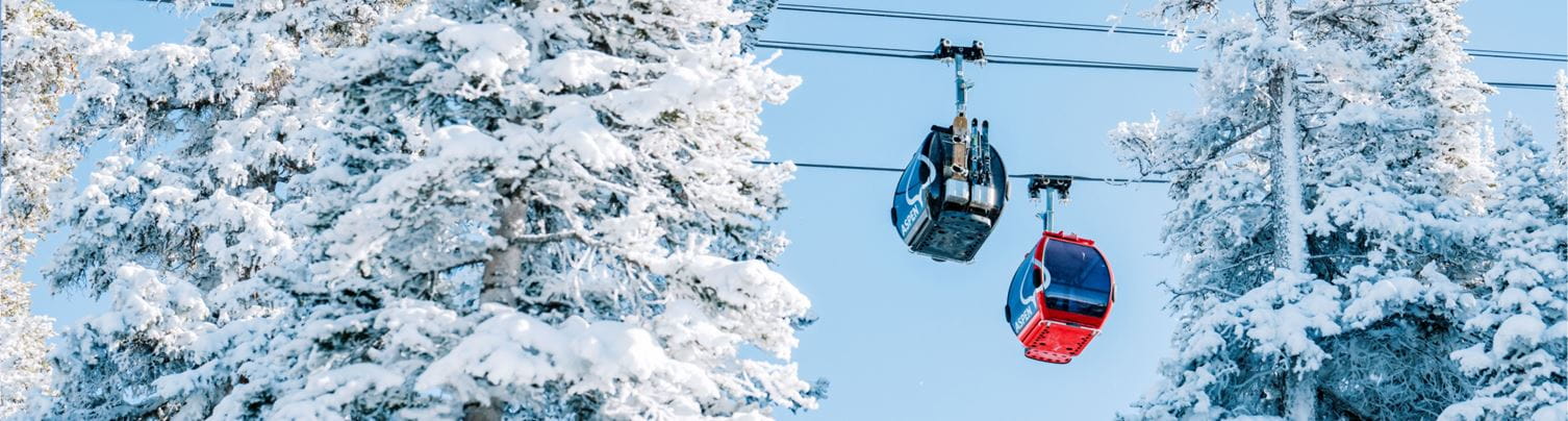 two gondola cars travel up aspen mountain between snowy trees on a blue bird day