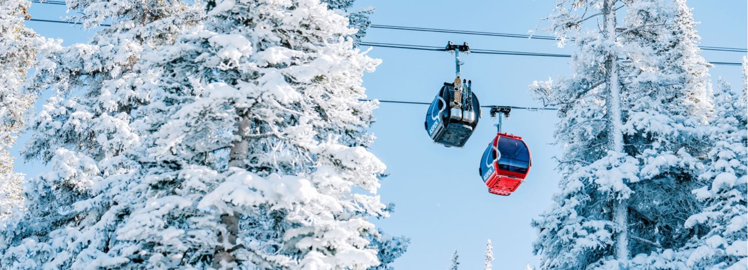 two gondola's between snowy trees at Aspen