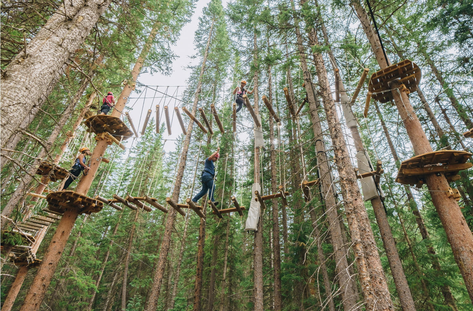 View of treeline ropes course