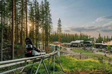 View of a rollercoaster in the trees at dusk on Snowmass