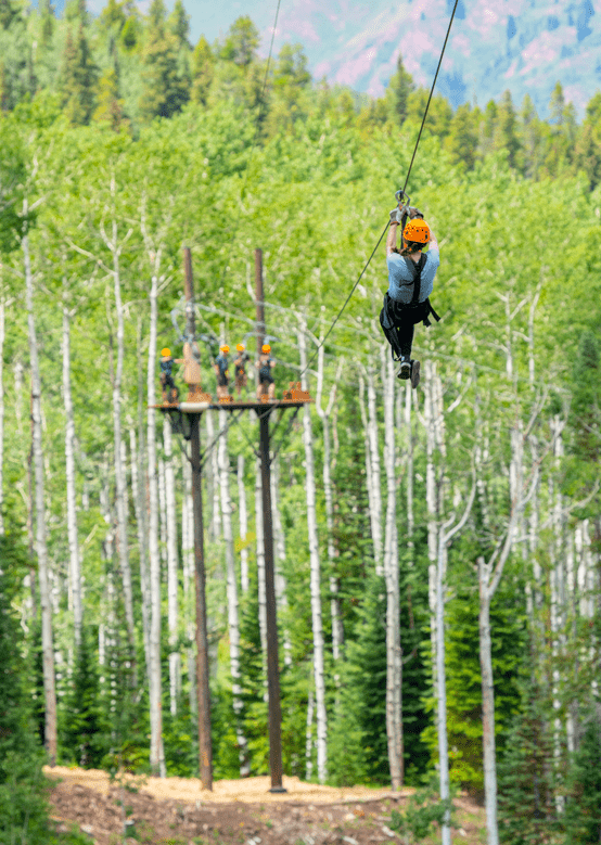 Lost Forest Canopy Run Zipline