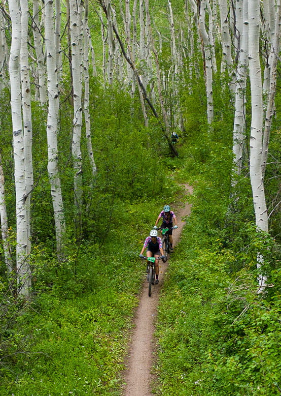 Racers biking through the Aspen tress part of the Audi Snowmass 50