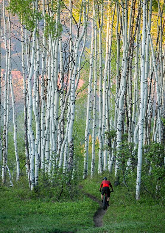 Beginners Guide to Snowmass Bike Park