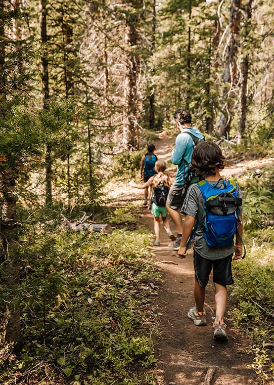 Hiking at the Lost Forest Snowmass