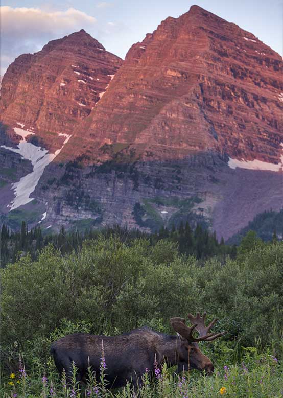 Protect the Maroon Bells