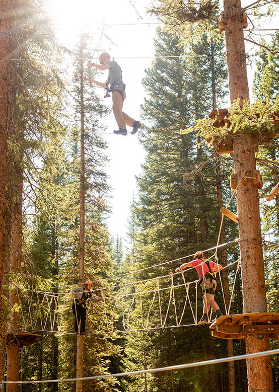 Treeline Trial at Lost Forest