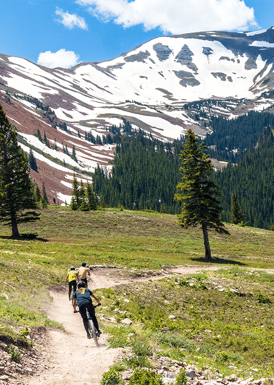 Three mountain bikers ride down a trail in Snowmass