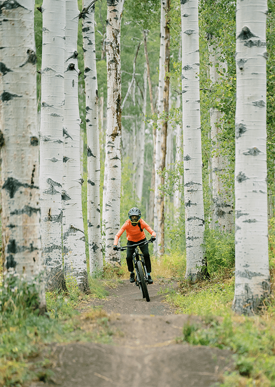 Mountain biker rides through tall aspen trees on their bike, on a single track trail with little humps in the trail. It is a green summer day.