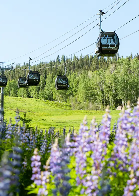 Scenic gondola ride at Snowmass