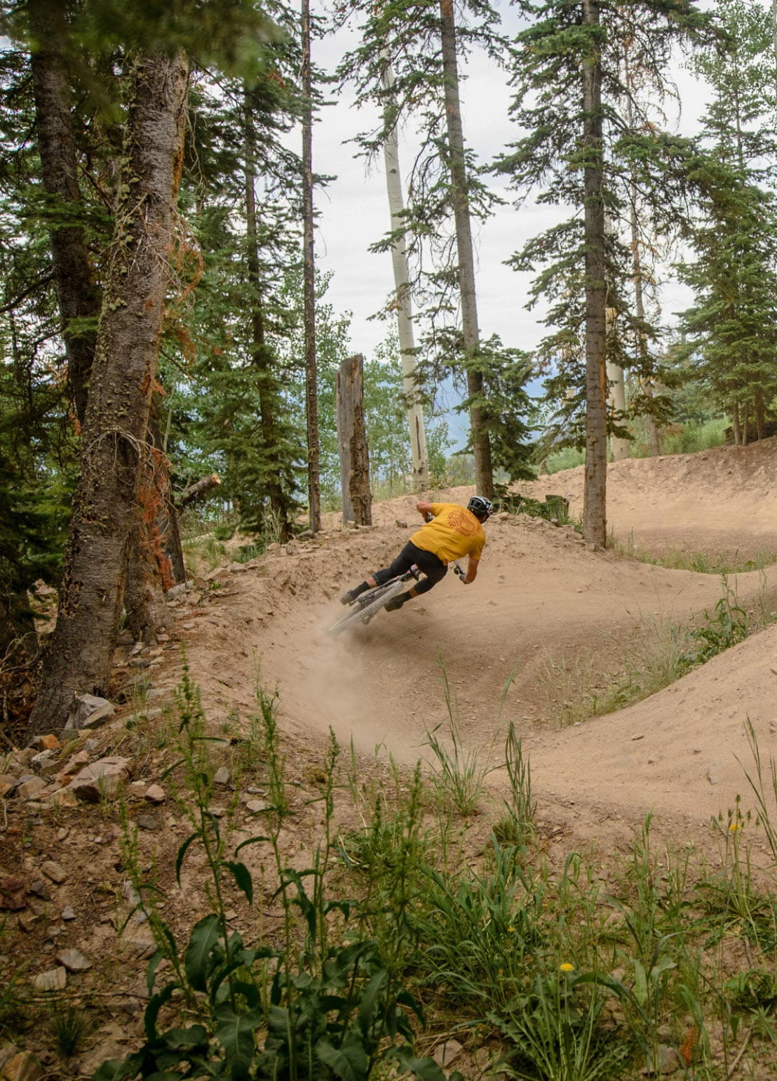 Downhill biker at Snowmass Bike Park
