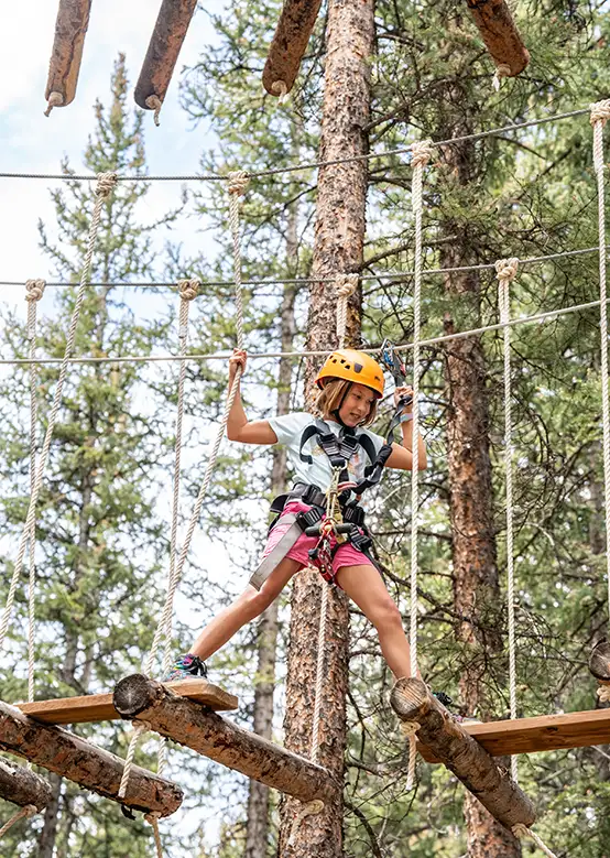 The Treeline Challenge Trail at Lost Forest